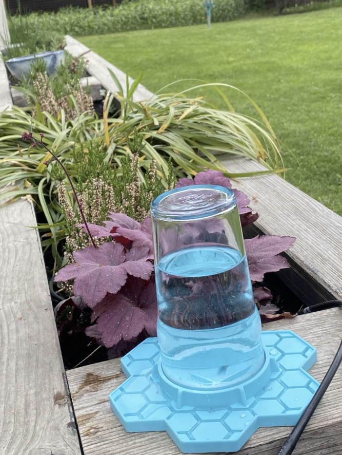 Insectana-Tränke mit Einmachglas zwischen Heide und Gräsern – Community-Foto